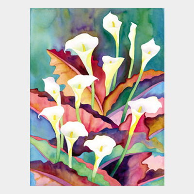 Jungle Calla Lily