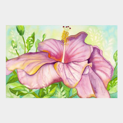 Lavender Hibiscus