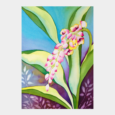 Maunawili Shell Ginger