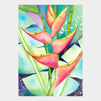 Firebird Heliconia