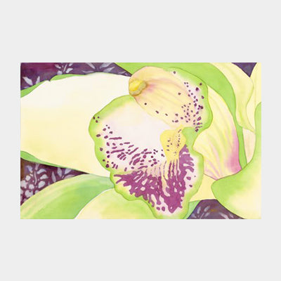 Green Cymbidium