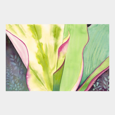 Pink and Green Ti