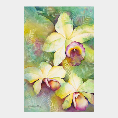 Orchid Medley