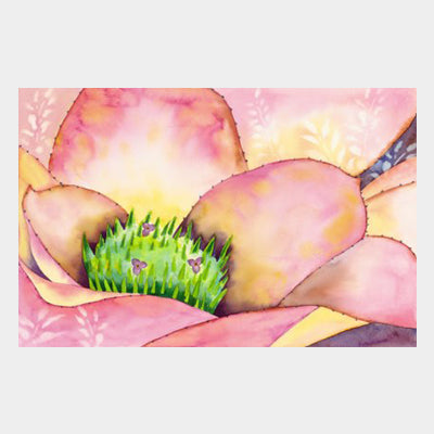 Pink Bromeliad
