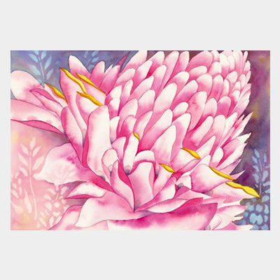 Pink Torch Ginger