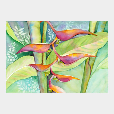 Rainbow Heliconia