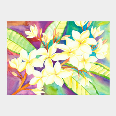 Sweet Plumeria