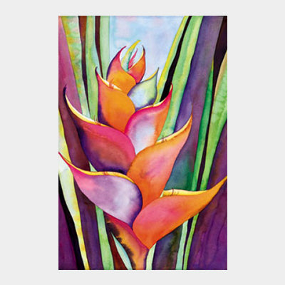 Tropical Heliconia