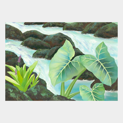Waikane Stream
