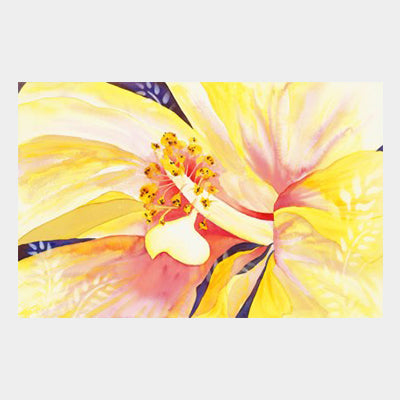 Yellow Hibiscus